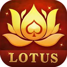 teen patti jay download